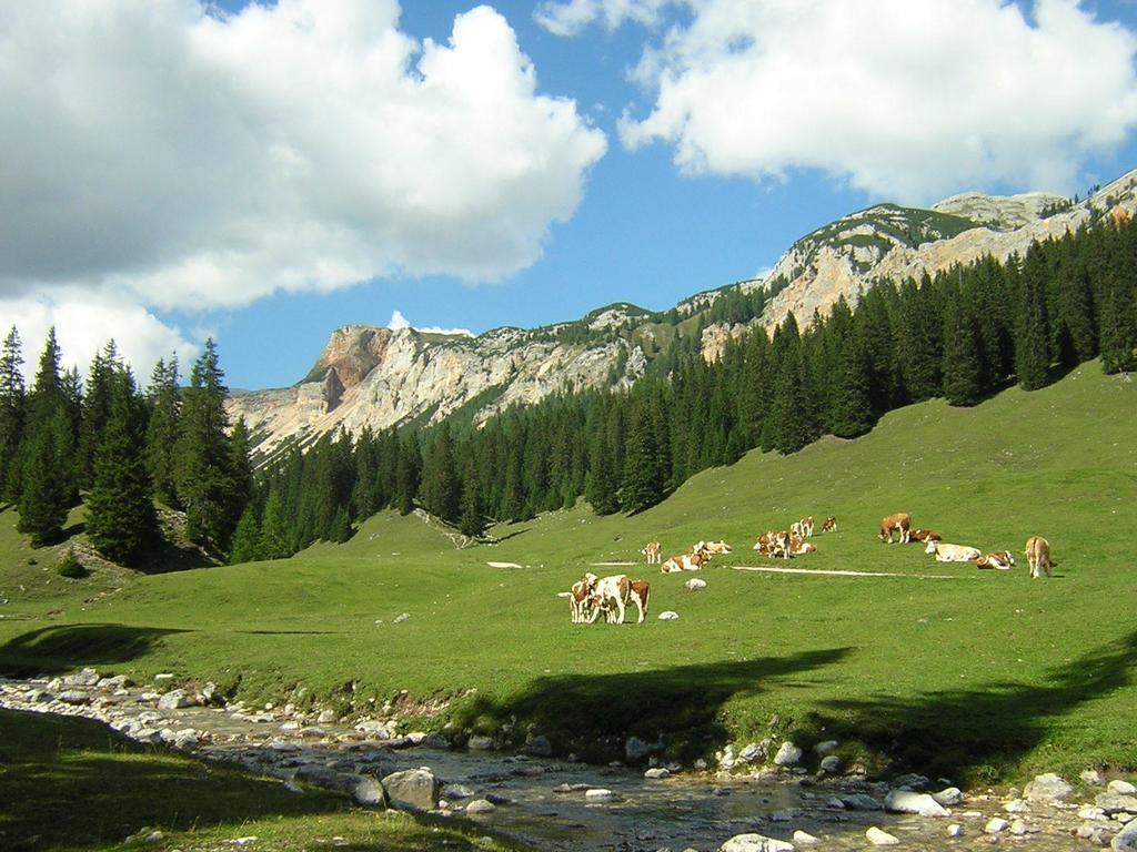 Casa Monteggia Toblach Buitenkant foto